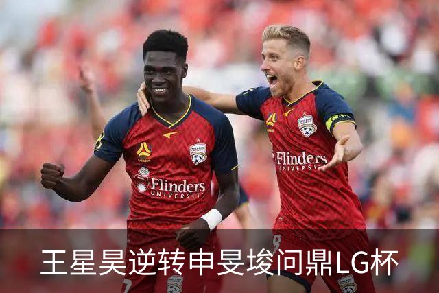 王星昊逆转申旻埈问鼎LG杯